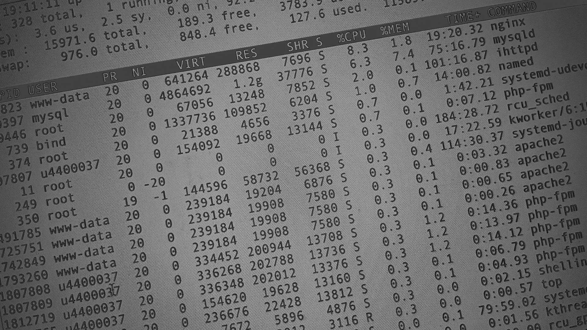 Настройка сервера в Чапаевске Настройка сервера в Чапаевске