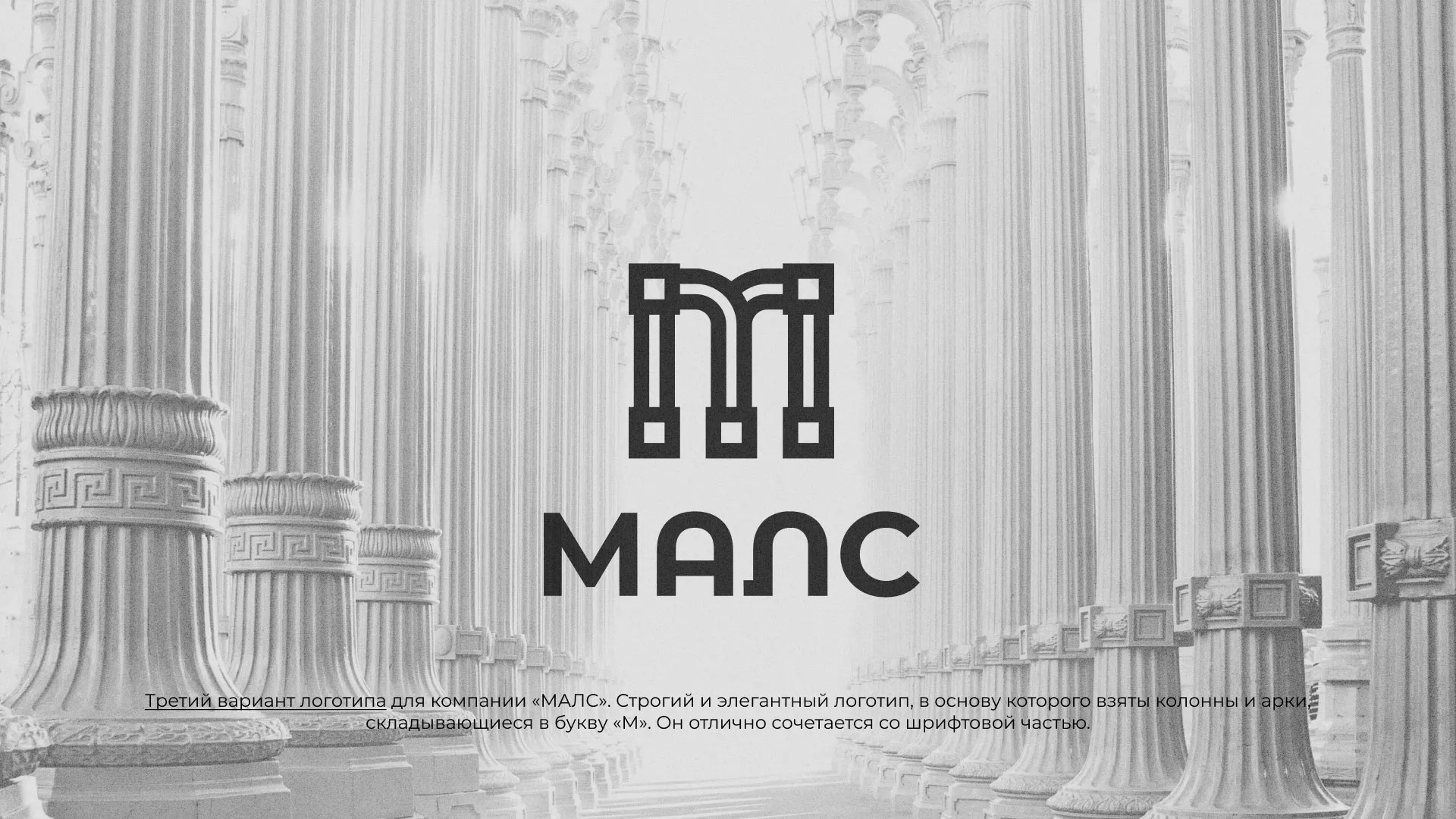 Разработка логотипа компании «МАЛС» в Чапаевске